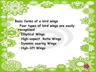  Basic forms of a bird wings
      Four types of bird wings are easily
      recognized
       Elliptical Wings
       High-aspect Ratio Wings
       Dynamic soaring Wings
       High-lift Wings
 