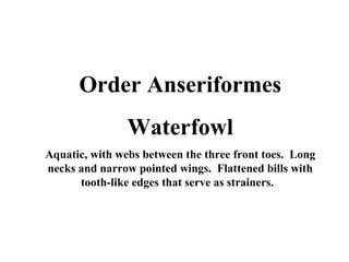 Order Anseriformes 
Waterfowl 
Aquatic, with webs between the three front toes. Long 
necks and narrow pointed wings. Flattened bills with 
tooth-like edges that serve as strainers. 
 