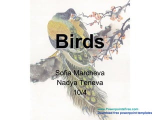 Birds Sofia Marcheva Nadya Teneva 10/4 
