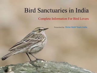 Bird Sanctuaries in India
Complete Information For Bird Lovers
Presented By: Shine Gold Tours India
 