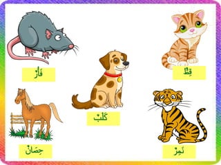 ٌّ
‫ط‬ِ‫ق‬
ٌ‫ان‬ َ
‫ص‬ ِ‫ح‬ ٌ‫ر‬ِ‫م‬َ‫ن‬
ٌ
‫ْب‬‫ل‬َ‫ك‬
ٌ‫ر‬‫ْأ‬َ‫ف‬
 