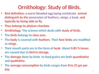 Birds and Rodefgtggvgffytrrfftrrnts.pptx