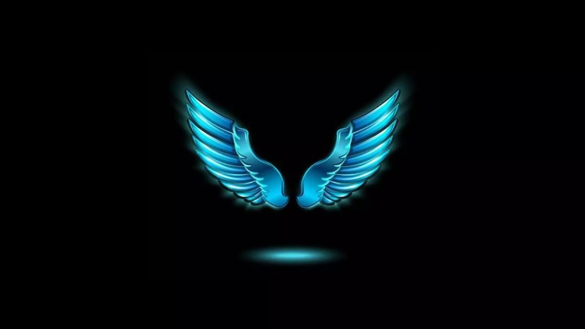 Birds and their wingspan PDF