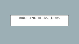 BIRDS AND TIGERS TOURS
 