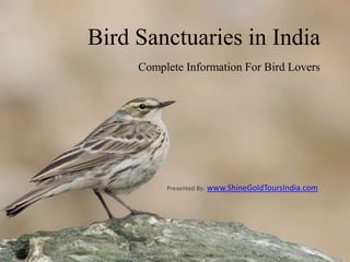 Bird Sanctuaries in India
Complete Information For Bird Lovers
Presented By: www.ShineGoldToursIndia.com
 