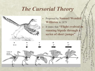 Birds as glorified reptiles | PPTX