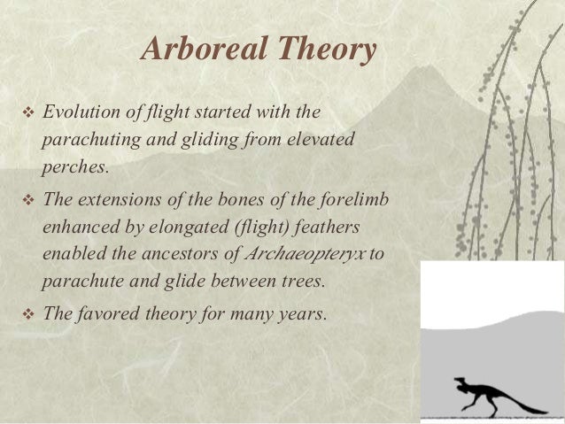 the theory of evolution of reptiles The following “creation / evolution for the “theory of evolution there are two explanations why there is no evidence for fish evolving into reptiles:. the theory of evolution of reptiles The following “creation / evolution for the “theory of evolution there are two explanations why there is no evidence for fish evolving into reptiles:.