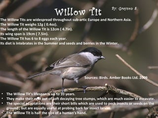 Willow Tit
                                                                    By: Grayson S.

•The Willow Tits are widespread throughout sub-artic Europe and Northern Asia.
•The Willow Tit weighs 12g ( 0.4oz).
•The length of the Willow Tit is 12cm ( 4.7in).
•Its wing span is 19cm ( 7.5in).
•The Willow Tit has 6 to 8 eggs each year.
•Its diet is Intebrates in the Summer and seeds and berries in the Winter.




                                                   Sources: Birds. Amber Books Ltd. 2009



 • The Willow Tit’s lifespan is up to 10 years.
 • They make their nest out of soft decaying tree stumps, which are much easier to excavate.
 • The special adaptations are their short bills which are used to peck insects or seeds on the
   ground , but are equally useful at probing bark for insect larvae.
 • The Willow Tit is half the size of a human’s hand.
 
