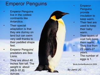 Emperor Penguins             •      Emperor
                                        Penguins
•    Emperor Penguins                   provide
     live in the coldest                insulation to
     continents like                    keep warm.
     Antarctica.                 •      Their feet are
•    Their special                      used to keep
     adaptation is that                 their baby
     they are clumsy on                 warm.
     land but can swim           •      Their layers of
     very well thanks to                coat help keep
     their paddled shape                them warm.
     feet.                       •      They live from
•    Emperor Penguins’                  23 years-27
     predators are Sea                  years.
     Lions.                      •      The number of
•    They are about 48                  eggs is 1.
     inches feet tall. The       Birds.AmberBooksLtd.2009.
     weight is about
     {48.0- 81.6}            By Jamir JG
     ounces.
 