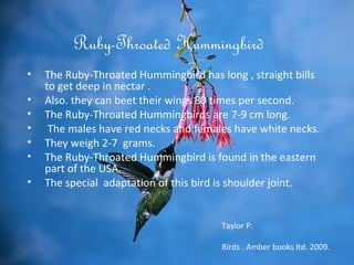 Ruby-Throated Hummingbird
•   The Ruby-Throated Hummingbird has long , straight bills
    to get deep in nectar .
•   Also. they can beet their wings 80 times per second.
•   The Ruby-Throated Hummingbirds are 7-9 cm long.
•    The males have red necks and females have white necks.
•   They weigh 2-7 grams.
•   The Ruby-Throated Hummingbird is found in the eastern
    part of the USA.
•   The special adaptation of this bird is shoulder joint.


                                       Taylor P.

                                       Birds . Amber books ltd. 2009.
 