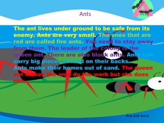 Ants

The ant lives under ground to be safe from its
enemy. Ants are very small. The ones that are
red are called fire ants. You need to stay away
from them. The leader of the colony is the
queen ant. There are also black ants. Ants can
carry big pieces of food on their backs.
Ants make their homes out of sand. The queen
ant makes the ants do the work but she does
not.




                                     Ava and Anna
 