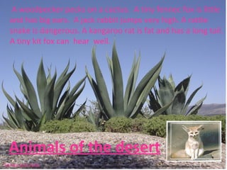 A woodpecker pecks on a cactus. A tiny fennec fox is little
  and has big ears. A jack rabbit jumps very high. A rattle
  snake is dangerous. A kangaroo rat is fat and has a long tail.
  A tiny kit fox can hear well.




  Animals of the desert
                      http://www.seaworld.org/animal-info/animal-
Sanaa and Julia       bytes/animalia/eumetazoa/coelomates/deuterostomes/chordata/craniata/mammalia/carnivora/fennec-fox.htm
 
