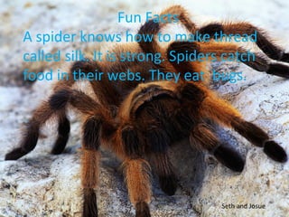 Fun Facts
A spider knows how to make thread
called silk. It is strong. Spiders catch
food in their webs. They eat bugs.




                                 Seth and Josue
 