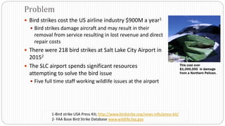  Bird strikes cost the US airline industry $900M a year1
 Bird strikes damage aircraft and may result in their
removal from service resulting in lost revenue and direct
repair costs
 There were 218 bird strikes at Salt Lake City Airport in
20152
 The SLC airport spends significant resources
attempting to solve the bird issue
 Five full time staff working wildlife issues at the airport
Problem
1-Bird strike USA Press Kit; http://www.birdstrike.org/news-info/press-kit/
2- FAA Base Bird Strike Database www.wildlife.faa.gov
This cost over
$1,000,000 in damage
from a Northern Pelican.
 