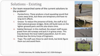  Our team researched some of the current solutions to
the problem5
I. Pyrotechnics: These produce a loud squealing sound that
scares away birds, but these are temporary and have no
long term effects.
II. Grease: To reduce the presence of birds, the staff at SLC
International greases bridges. Birds still build nests on the
lighter greased parts and this also drains time.
III. Habitat Removal: In this method, the airport staff reuses
gravel from old runways and puts it in grassy areas. This
may decrease the local rodent population, but it’s very
limited due the Army Corps of Engineers.
IV. Traps: The staff uses these to catch birds, but birds figure
them out and avoid them.
Solutions - Existing
5-Field Interview, Mr. Bobby Boswell, SLC USDA Biologist
 