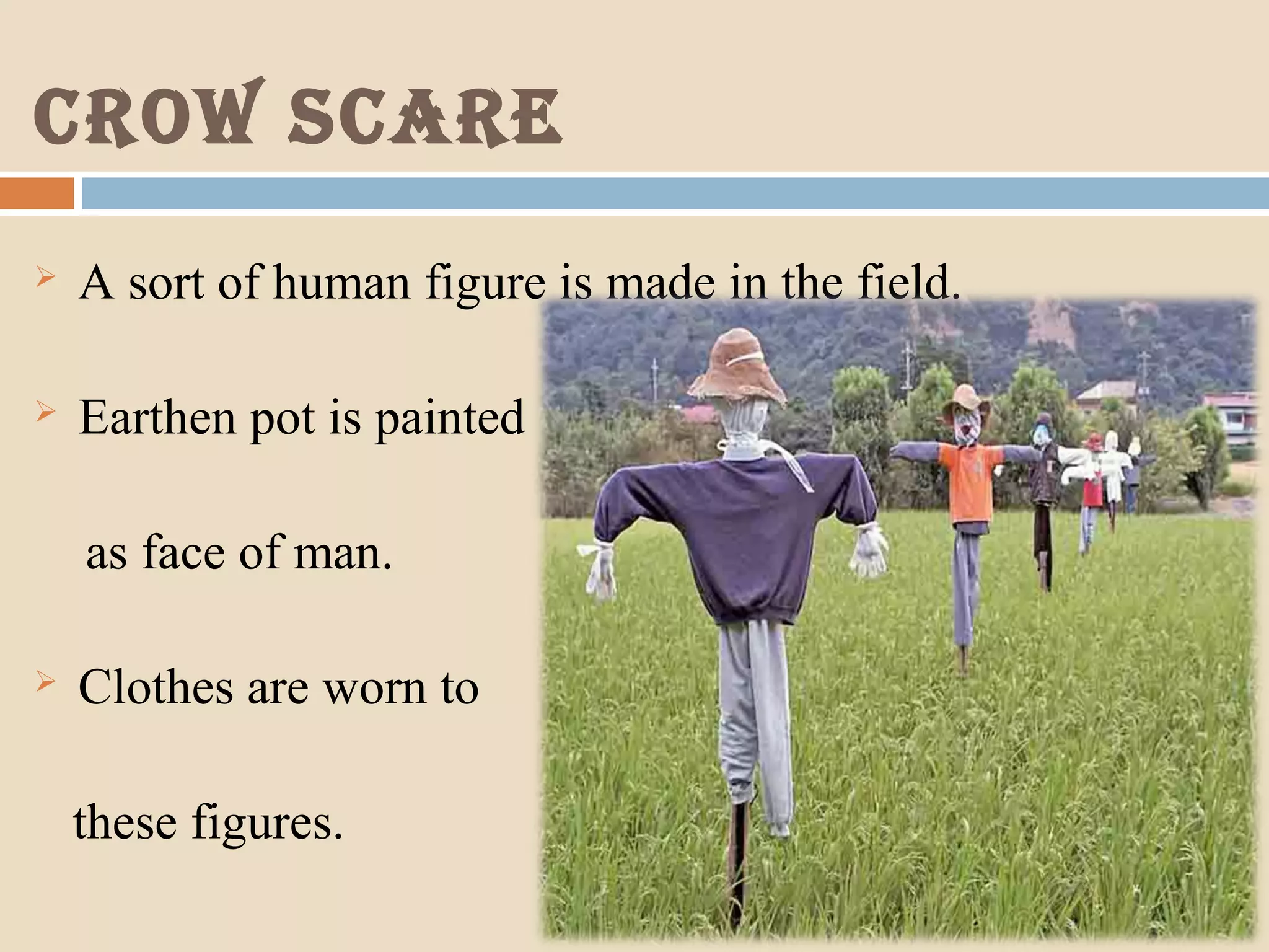 crow scare
 A sort of human figure is made in the field.
 Earthen pot is painted
as face of man.
 Clothes are worn to
these figures.
 