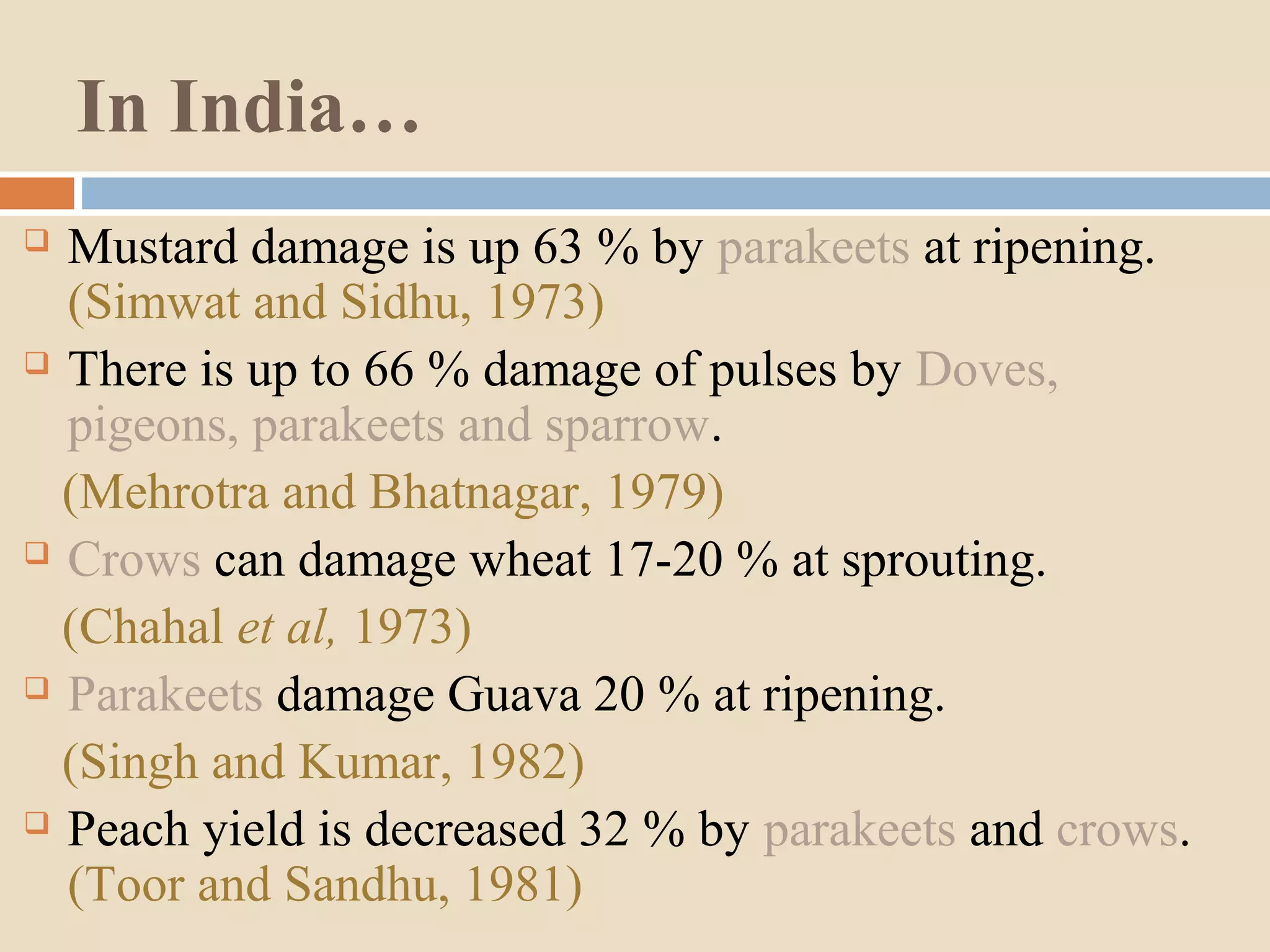 In India…
 Mustard damage is up 63 % by parakeets at ripening.
(Simwat and Sidhu, 1973)
 There is up to 66 % damage of pulses by Doves,
pigeons, parakeets and sparrow.
(Mehrotra and Bhatnagar, 1979)
 Crows can damage wheat 17-20 % at sprouting.
(Chahal et al, 1973)
 Parakeets damage Guava 20 % at ripening.
(Singh and Kumar, 1982)
 Peach yield is decreased 32 % by parakeets and crows.
(Toor and Sandhu, 1981)
 