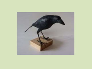 Bird sculptures