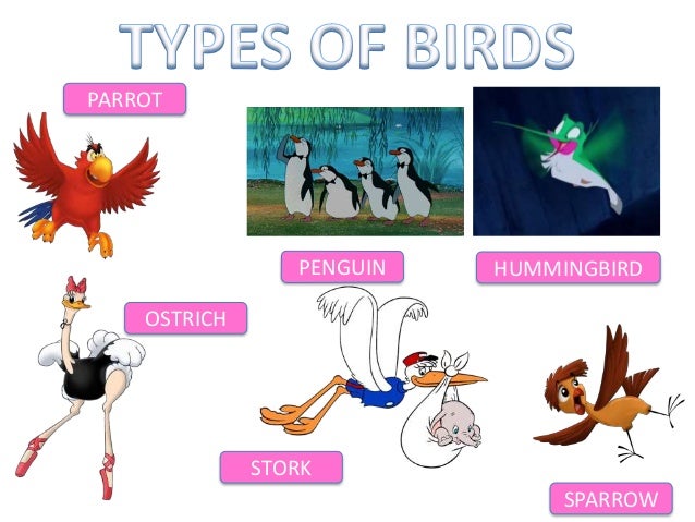 Birds disney