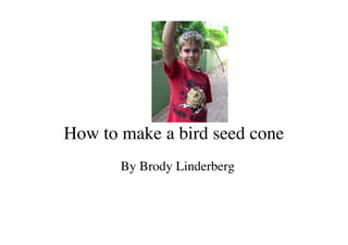 How to make a bird seed cone
       By Brody Linderberg
 