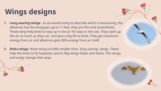 BIRDS (ENGLISH ACTIVITY) , Birds types of wings and flight of wings. | PPTX