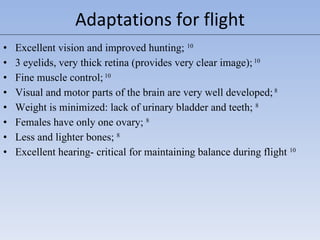 Excellent vision and improved hunting;  10 3 eyelids, very thick retina (provides very clear image);  10 Fine muscle control;  10 Visual and motor parts of the brain are very well developed;  8 Weight is minimized: lack of urinary bladder and teeth;  8 Females have only one ovary;  8 Less and lighter bones;  8 Excellent hearing- critical for maintaining balance during flight  10 Adaptations for flight 