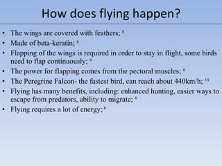 The wings are covered with feathers;  8 Made of beta-keratin;  8 Flapping of the wings is required in order to stay in flight, some birds need to flap continuously;  8 The power for flapping comes from the pectoral muscles;  8 The Peregrine Falcon- the fastest bird, can reach about 440km/h;  10 Flying has many benefits, including: enhanced hunting, easier ways to escape from predators, ability to migrate;  8 Flying requires a lot of energy;  8 How does flying happen? 