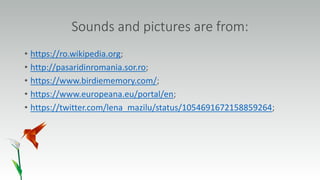 Sounds and pictures are from:
• https://ro.wikipedia.org;
• http://pasaridinromania.sor.ro;
• https://www.birdiememory.com/;
• https://www.europeana.eu/portal/en;
• https://twitter.com/lena_mazilu/status/1054691672158859264;
 