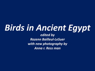 Birds in Ancient Egypt 
edited by 
Rozenn Bailleul-LeSuer 
with new photography by 
Anna r. Ress man 
 