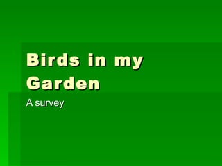 Birds in my Garden A survey 