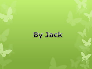 Jack's bird powerpoint