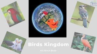 Birds Kingdom
All About Birds
 