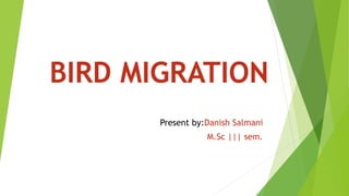 BIRD MIGRATION
Present by:Danish Salmani
M.Sc ||| sem.
 