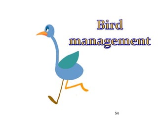 Birds Management | PPTX