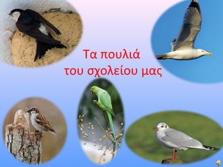 Τα πουλιά
του σχολείου μας

 