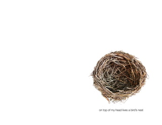 on top of my head lives a bird’s nest
 