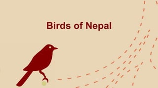 Birds of Nepal
 