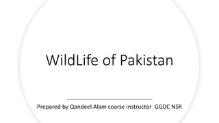 WildLife of Pakistan
Prepared by Qandeel Alam coarse instructor GGDC NSR
 