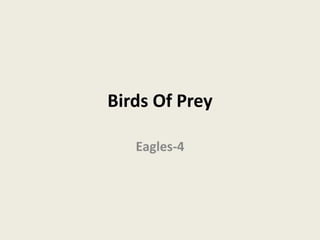 Birds Of Prey
Eagles-4
 