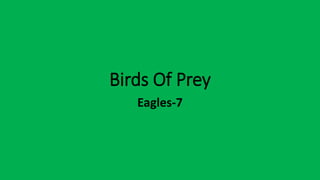 Birds Of Prey
Eagles-7
 