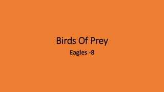 Birds Of Prey
Eagles -8
 