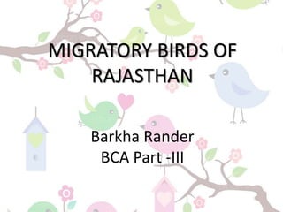 Barkha Rander
BCA Part -III
MIGRATORY BIRDS OF
RAJASTHAN
 