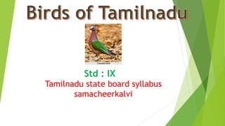 Std : IX
Tamilnadu state board syllabus
samacheerkalvi

 