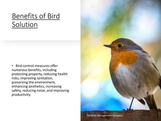 Comprehensive Bird Control Solutions for Facility Management and Health ...