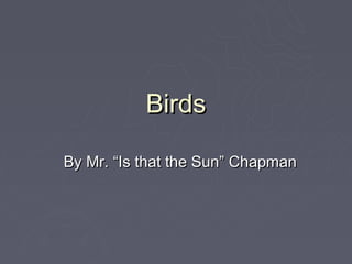 Birds

By Mr. “Is that the Sun” Chapman
 