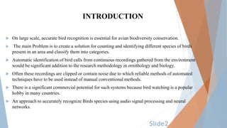 BIRD SPECIES (1).pptx