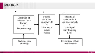 Bird species classification based on their sound | PPTX