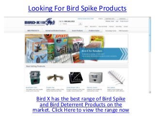 Looking For Bird Spike Products




  Bird X has the best range of Bird Spike
   and Bird Deterrent Products on the
 market. Click Here to view the range now
 