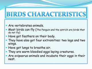  Are vertebrates animals.
 Most birds can fly (The Penguin and the ostrich are birds that
do not fly)
 Have got feathers on their body.
 They have also got four extremities: two legs and two
wings.
 Have got lungs to breathe air.
 They are warm bloodied eggs laying creatures.
 Are ovipaorus animals and incubate their eggs in their
nest.
 