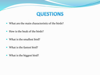  What are the main characteristic of the birds?
 How is the beak of the birds?
 What is the smallest bird?
 What is the fastest bird?
 What is the biggest bird?
 